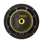 НЧ-СЧ динаміки ESB 8.165 4