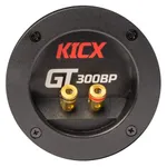 Корпусний пасивний сабвуфер Kicx GT 300BP 8