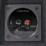 Корпусний пасивний сабвуфер Rockford Fosgate P3S-1X10 6