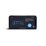 Процессорный 8-канальный усилитель Alpine PXE-C80-88 9