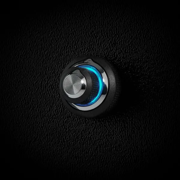 Цифровой дистанционный регулятор уровня сигнала JL Audio DRC-205 2