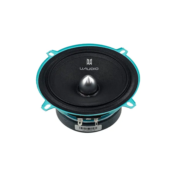 НЧ-СЧ динаміки UAudio Trembita TM5 4