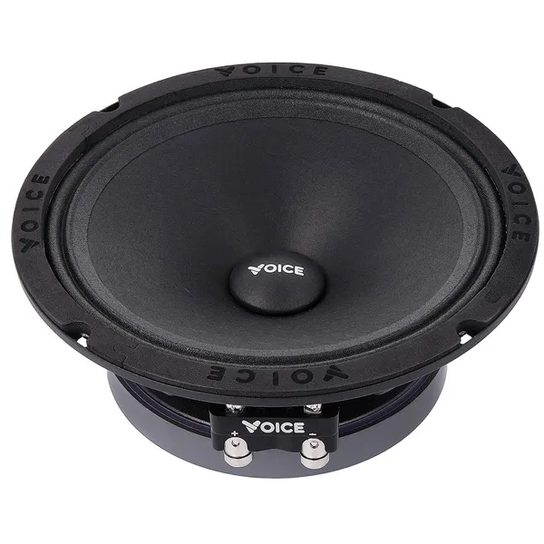 НЧ-СЧ динаміки Voice SP-60A 4
