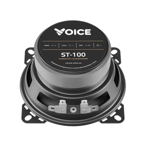 НЧ-СЧ динамики Voice ST-100 5