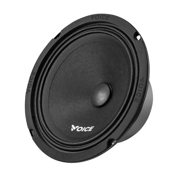 НЧ-СЧ динамики Voice ST-165 2