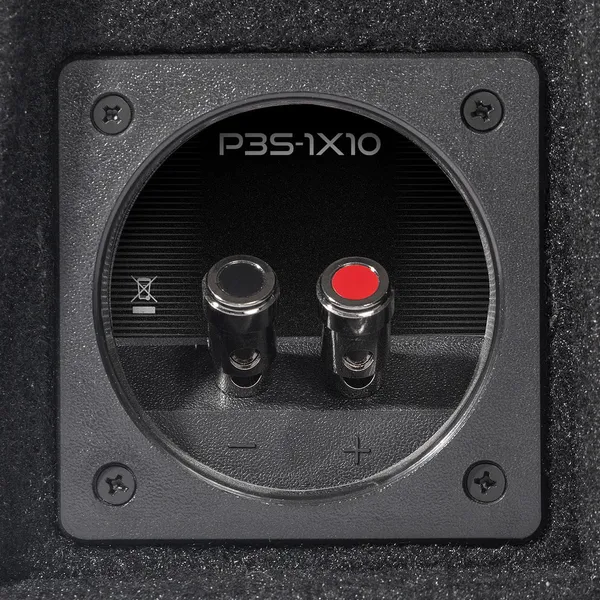 Корпусний пасивний сабвуфер Rockford Fosgate P3S-1X10 6